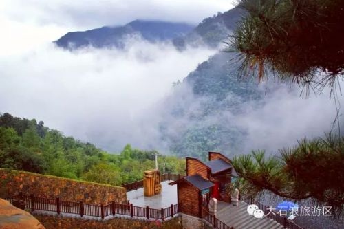 安吉大石浪景区游客爆满 三大停车场全部告急-和风乐游农庄(图5)