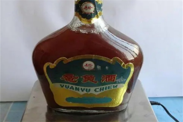 鼋鱼酒(图2)