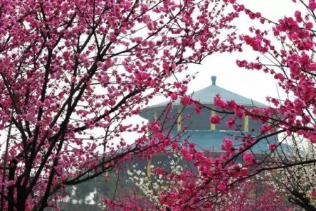 阳春三月踏青正当时 春游踏青的习俗由来-和风乐游农庄(图2) 阳春三月踏青正当时 春游踏青的习俗由来-和风乐游农庄(图2)