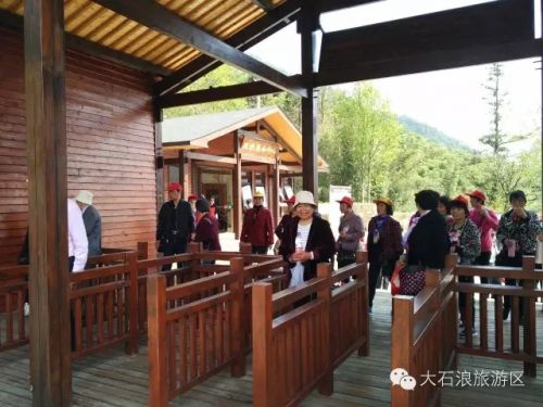 安吉大石浪景区游客爆满 三大停车场全部告急-和风乐游农庄(图4)
