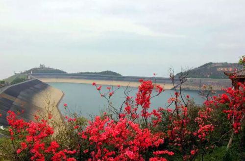 安吉映山红最佳观赏地推荐 杭垓镇姚村报福镇老石坎水库江南天池赏花攻略-和风乐游农庄(图4) 安吉映山红最佳观赏地推荐 杭垓镇姚村报福镇老石坎水库江南天池赏花攻略-和风乐游农庄(图4)