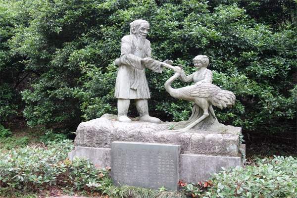 芦花荡公园(图2)