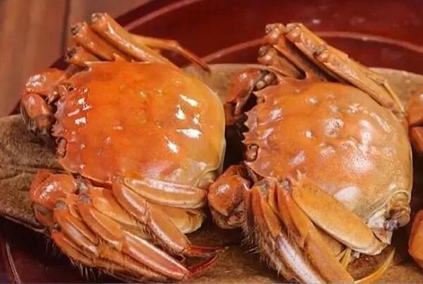 梁子湖大河蟹(图3)