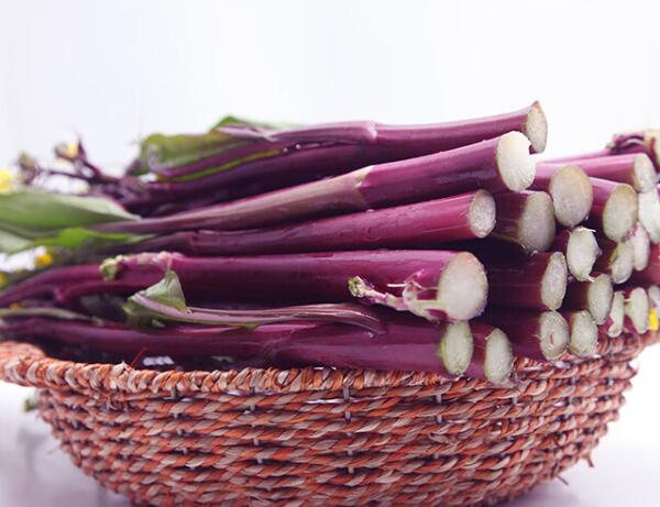 洪山菜苔(图2) 洪山菜苔(图2)