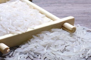 增城丝苗米 - 和风乐游农庄