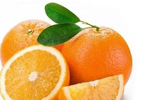 萝岗甜橙 - 和风乐游农庄