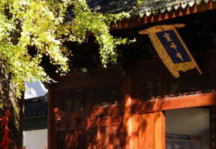安吉灵峰寺初冬银杏秘境 千年古寺禅意祈福之旅-和风乐游农庄 - 和风乐游农庄