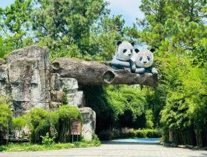 安吉竹博园冬季游玩攻略，大熊猫馆竹林赏景全指南-和风乐游农庄 - 和风乐游农庄