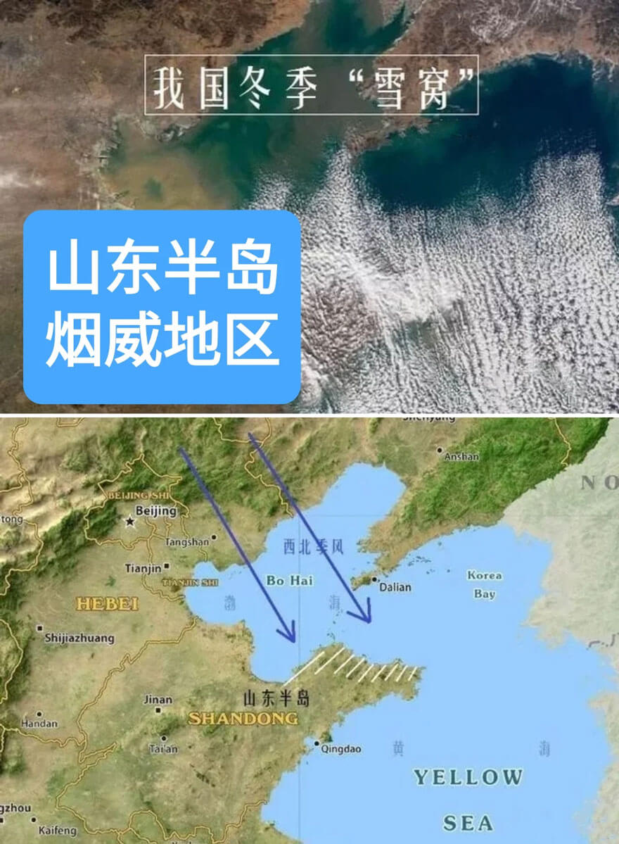 烟台威海为何成雪窝？揭秘冷知识与隐藏打卡点-和风乐游农庄(图2)