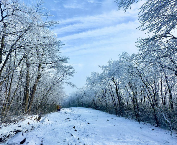 安吉龙王山徒步攻略：浙北第一峰路线选择与安全装备指南-和风乐游农庄(图1)