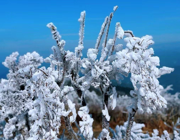 安吉龙王山徒步攻略：浙北第一峰路线选择与安全装备指南-和风乐游农庄(图2)