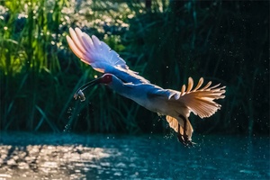 下渚湖国家湿地公园 - 和风乐游农庄