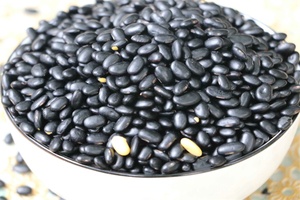 延津黑豆 - 和风乐游农庄