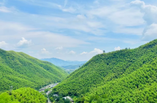 安吉大竹海探秘：《卧虎藏龙》取景地的绿色仙境-和风乐游农庄 - 和风乐游农庄