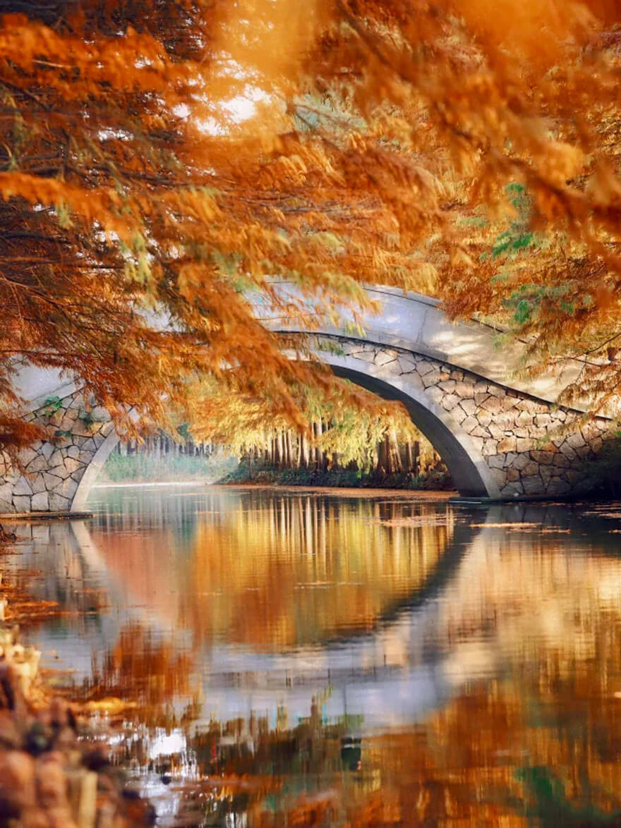 11月份江苏适合旅游的地方都有哪些？都有哪些好玩的旅游景点和美..(图2)