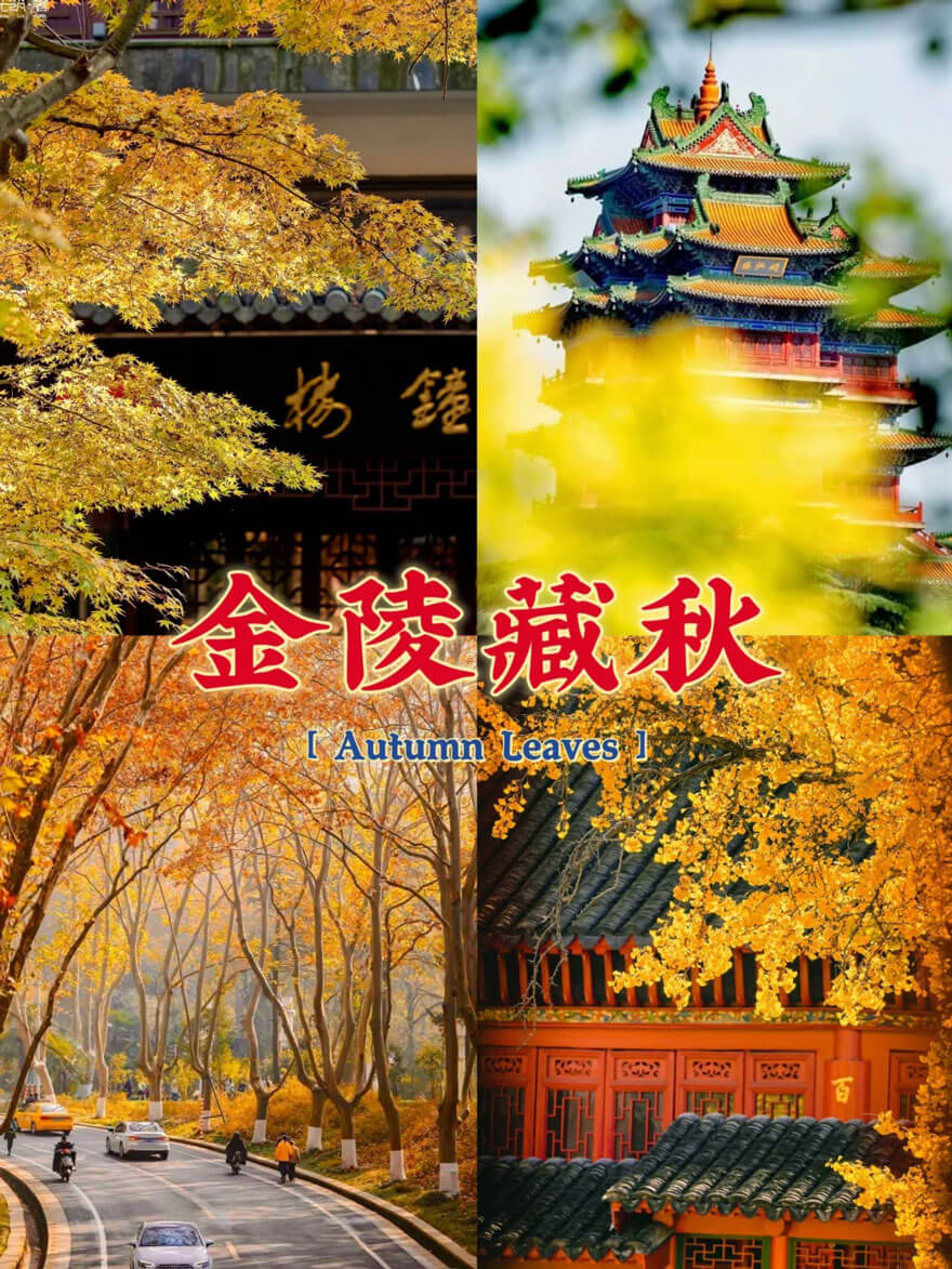 11月份江苏适合旅游的地方都有哪些？都有哪些好玩的旅游景点和美..(图1)