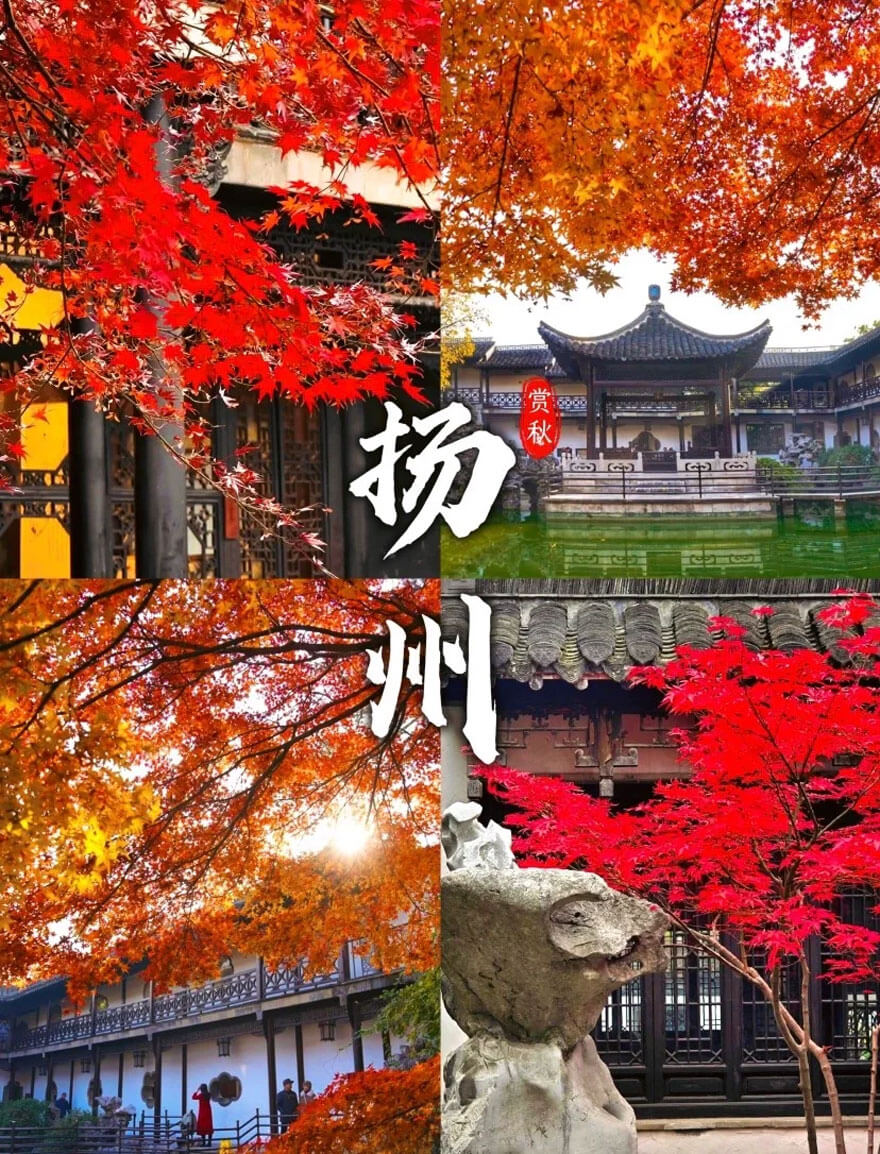 11月份江苏适合旅游的地方都有哪些？都有哪些好玩的旅游景点和美..(图3)