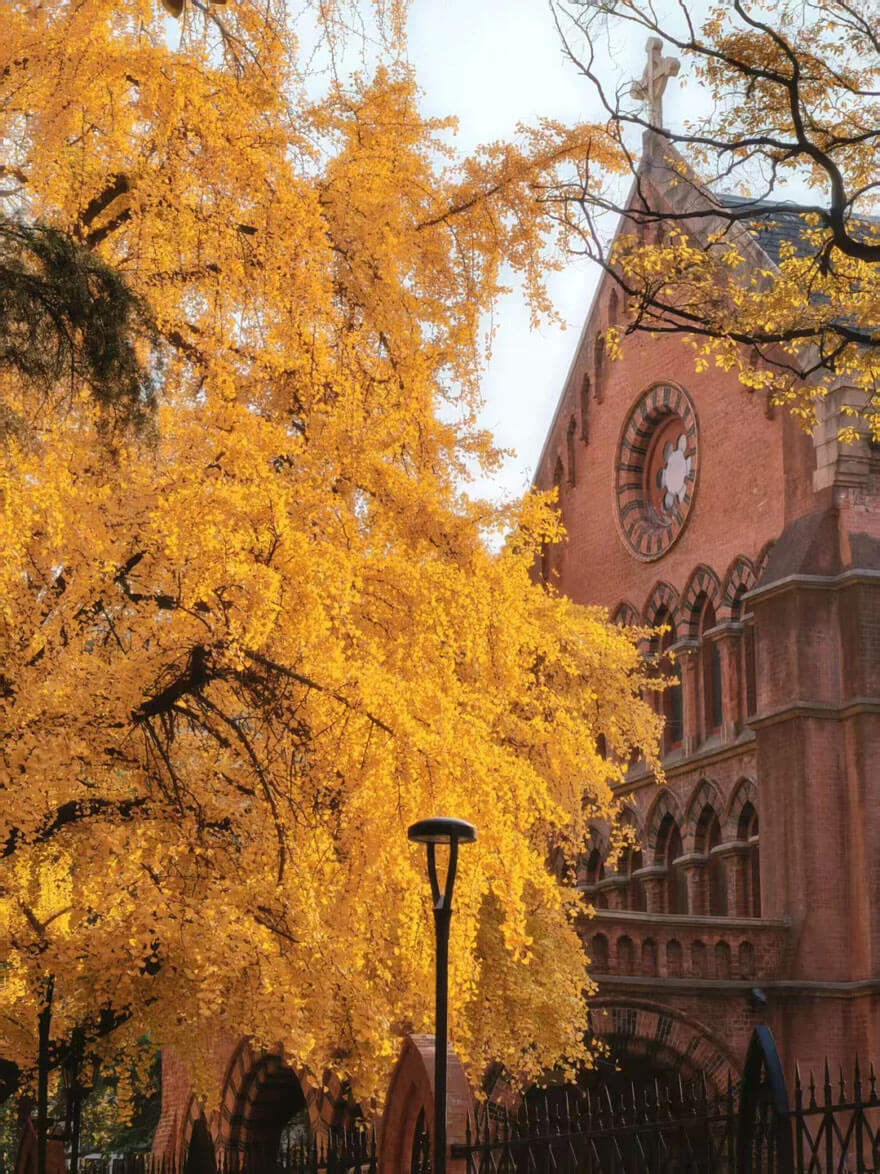 11月上海旅游攻略：秋日必去景点美食全指南-和风乐游农庄(图2)