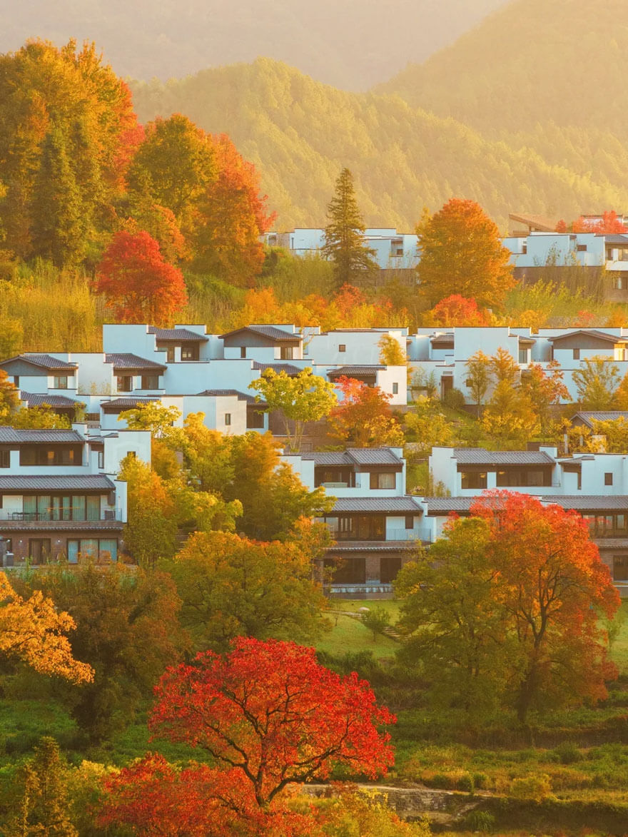 11月安徽旅游必去景点推荐，徽州秋色美景与美食攻略-和风乐游 - 和风乐游农庄