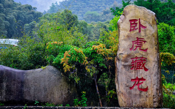 安吉大竹海探秘:《卧虎藏龙》取景地的绿色仙境-和风乐游农庄(图3) 安吉大竹海探秘:《卧虎藏龙》取景地的绿色仙境-和风乐游农庄(图3)