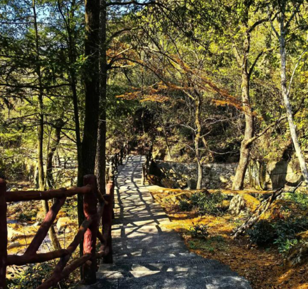 浙北大峡谷秋季游玩攻略，赏枫叶银杏体验诗意山水-和风乐游农庄(图1)