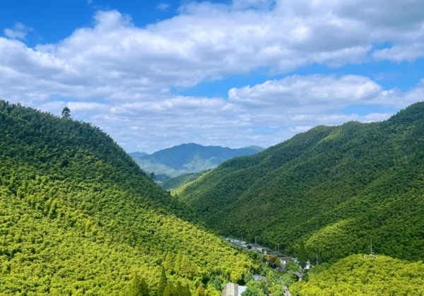 安吉大竹海探秘:《卧虎藏龙》取景地的绿色仙境-和风乐游农庄(图1) 安吉大竹海探秘:《卧虎藏龙》取景地的绿色仙境-和风乐游农庄(图1)