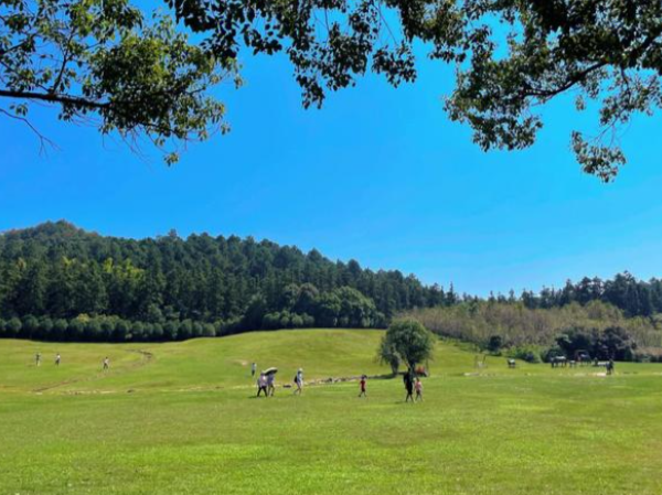 漫步安吉中南百草园体验自然之美与欢乐时光-和风乐游农庄(图2) 漫步安吉中南百草园体验自然之美与欢乐时光-和风乐游农庄(图2)