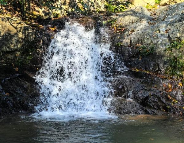 浙北大峡谷秋季游玩攻略，赏枫叶银杏体验诗意山水-和风乐游农庄(图2)