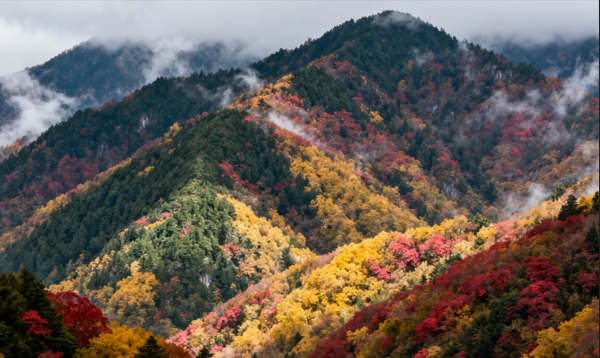 浙北大峡谷秋季游玩攻略，赏枫叶银杏体验诗意山水-和风乐游农庄(图3)