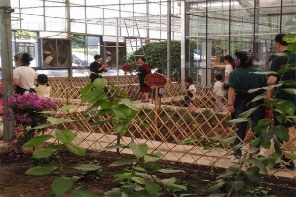 联怡枇杷生态园(图2)