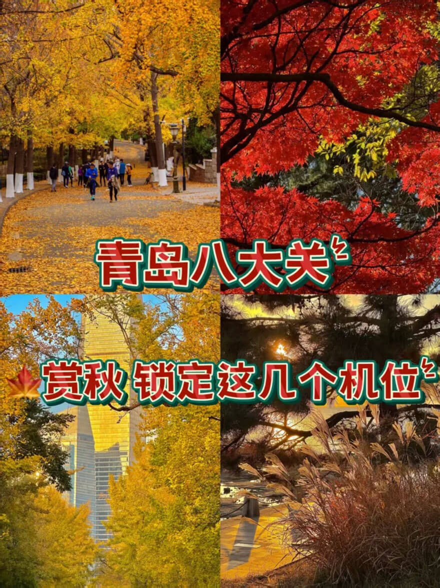 11月山东旅游攻略推荐秋季绝佳目的地景点美食全指南-和风乐游农庄(图2)