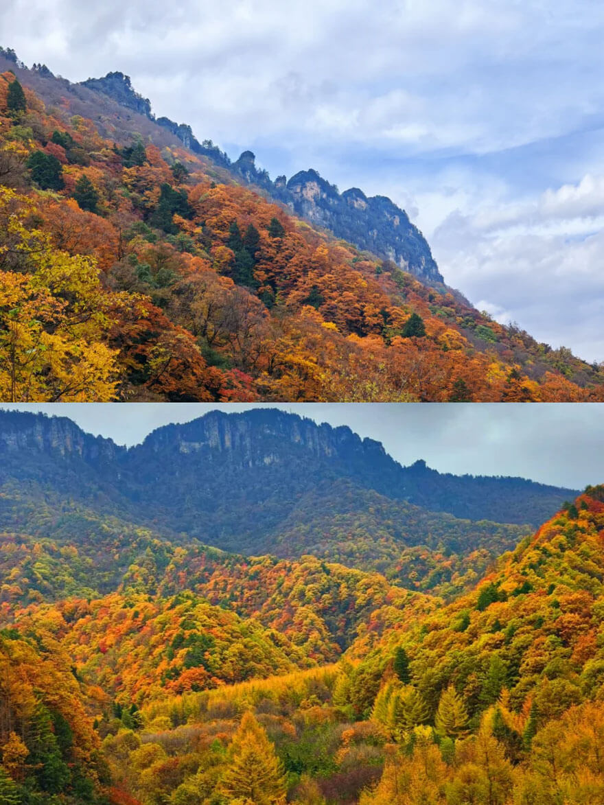 11月湖北旅游必去景点推荐 秋季赏景美食