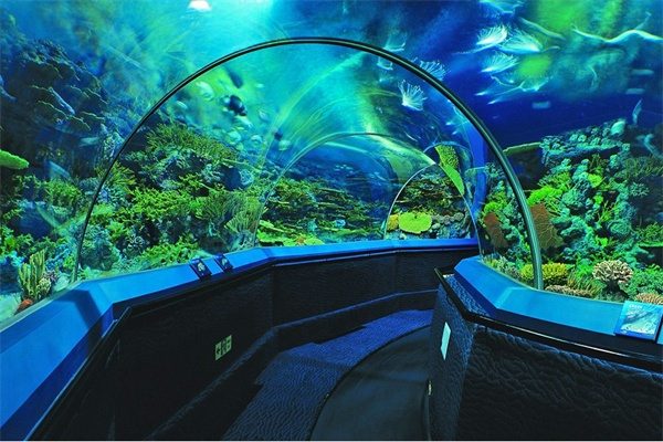 上海海洋水族馆(图2)