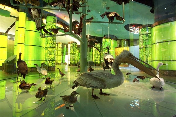 上海科技馆(图2)