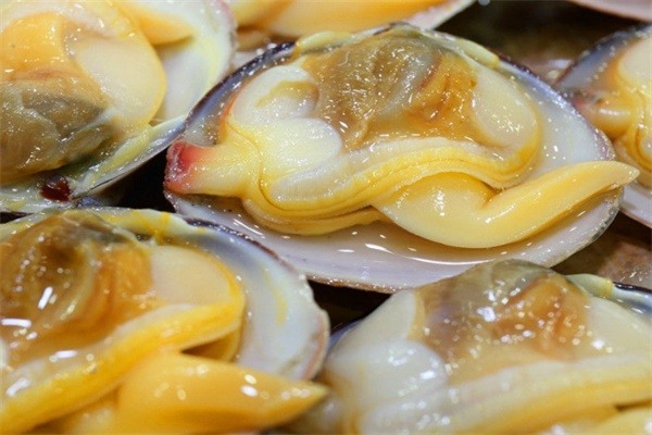 大黄蚬子(图2) 大黄蚬子(图2)