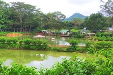 丽河温泉农庄 - 和风乐游农庄