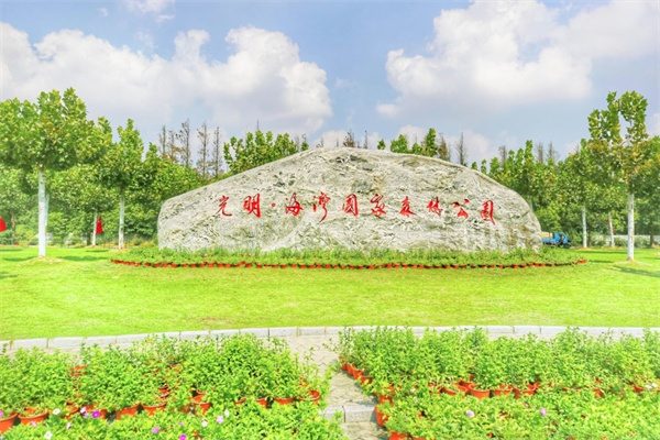 海湾国家森林公园(图1)