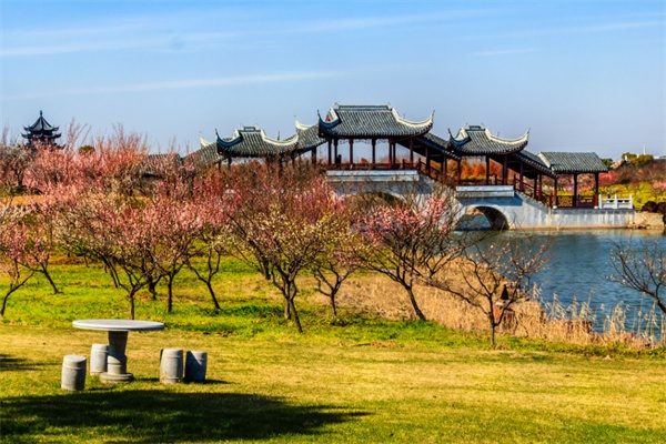 海湾国家森林公园(图3)