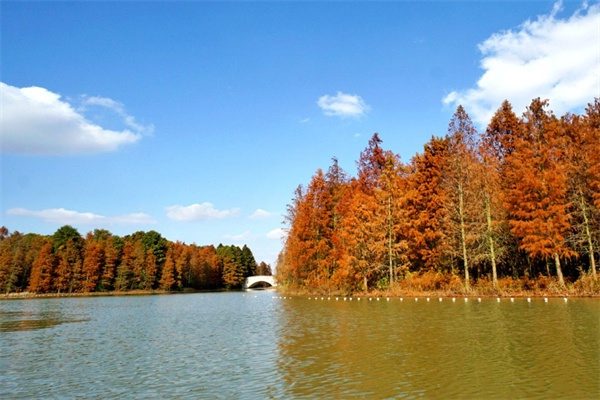 海湾国家森林公园(图2)