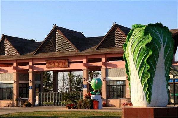 上海都市菜园(图1)