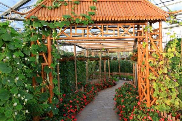 上海都市菜园(图3)