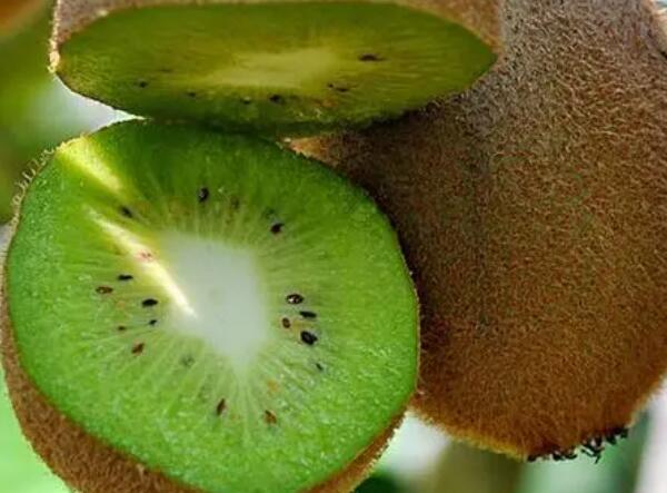 绥中猕猴桃(图2)