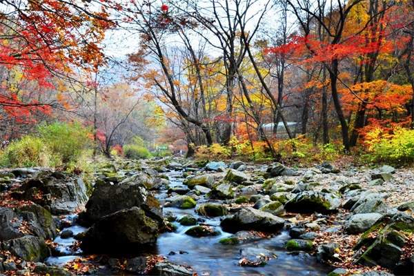 关门山国家森林公园(图3)