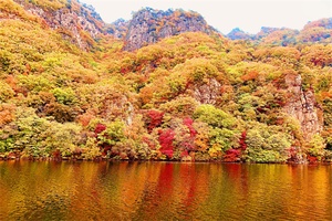 关门山国家森林公园 - 辰飞雨和风乐游农庄