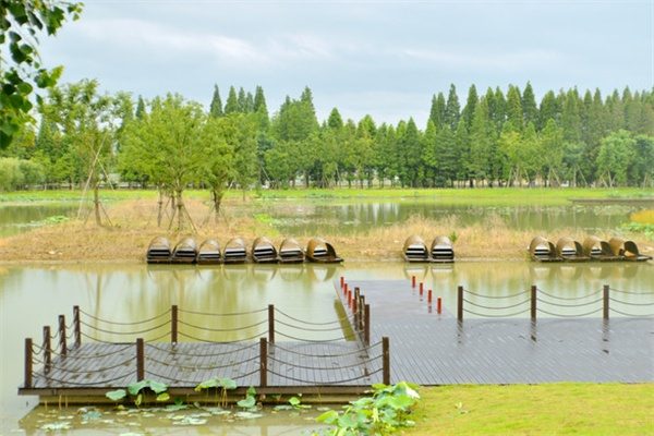 固城湖城市湿地公园(图2)