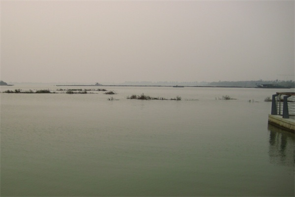 固城湖城市湿地公园(图3)