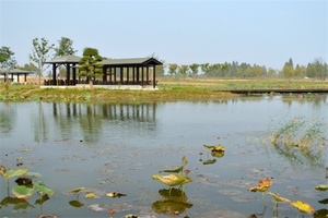 固城湖城市湿地公园 - 辰飞雨和风乐游农庄