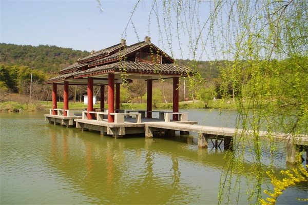 银林生态园(图1)