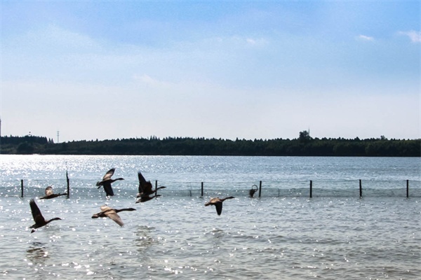 明珠湖公园(图2)