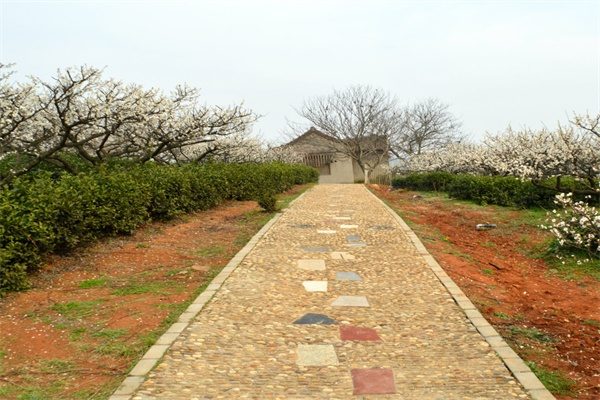 南京傅家边农业生态园(图2)